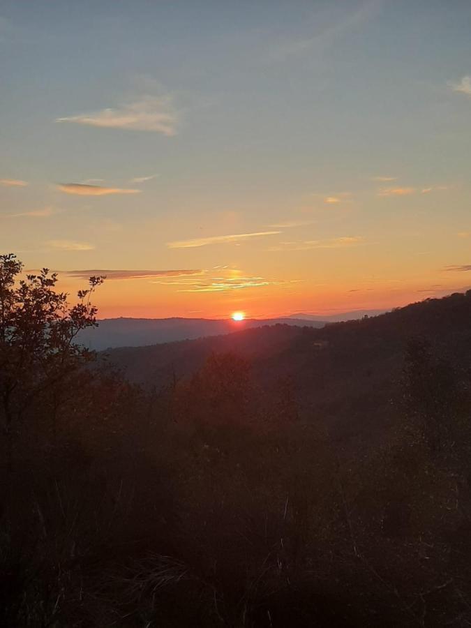 Sunset Valley - A Tuscan Experience Civitella in Val di Chiana Zewnętrze zdjęcie